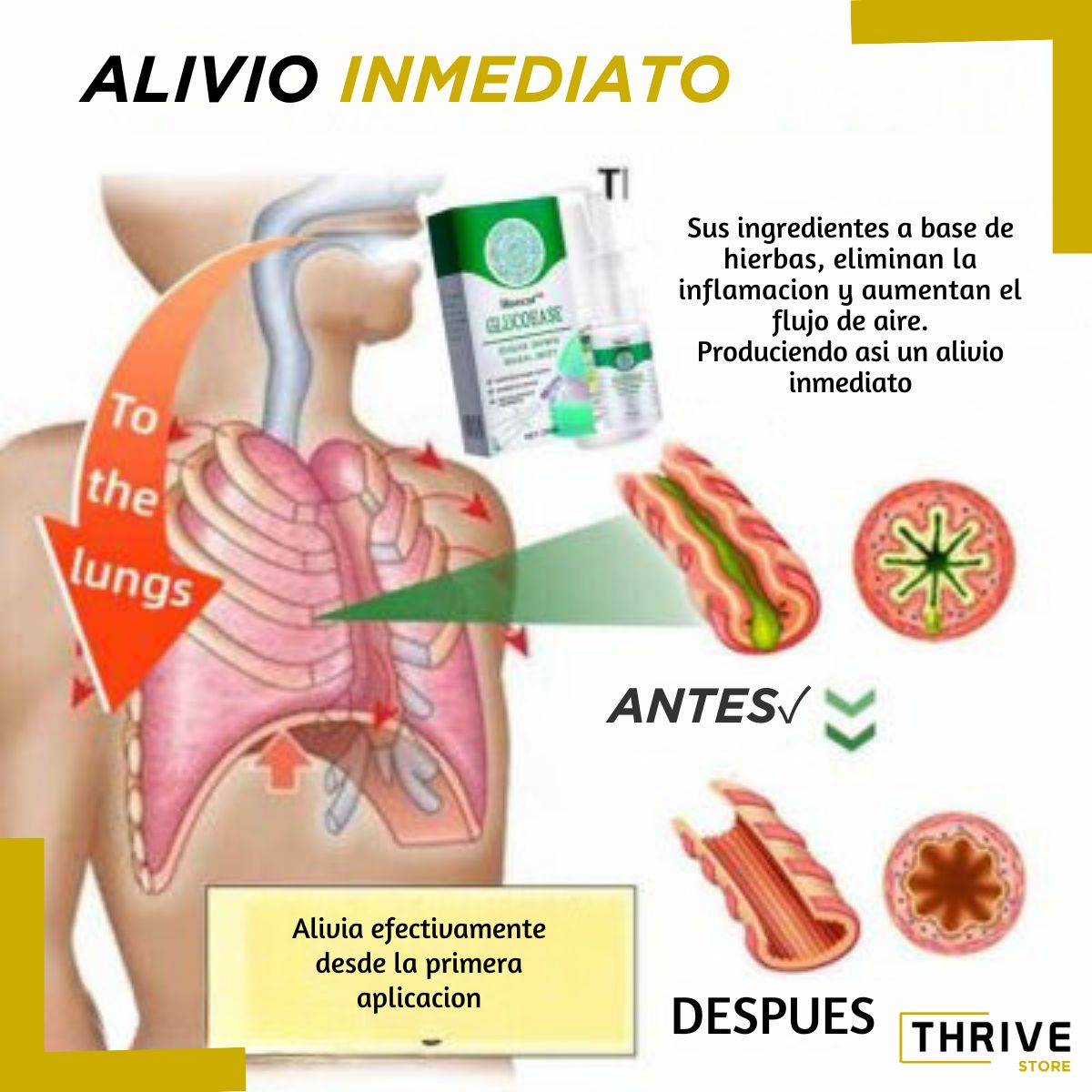 GlucoEase™ - ¡OFERTA ESPECIAL 3X1 SOLO POR ESTA SEMANA!