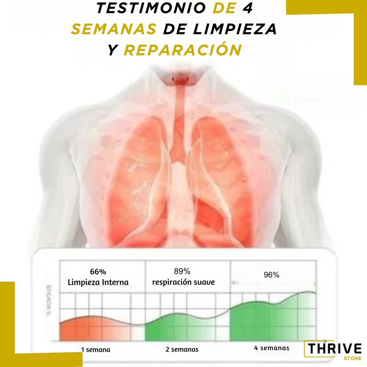 GlucoEase™ - ¡OFERTA ESPECIAL 3X1 SOLO POR ESTA SEMANA!