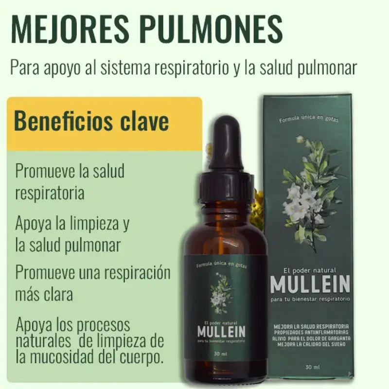 Mullein - El poder natural para tu bienestar respiratorio.