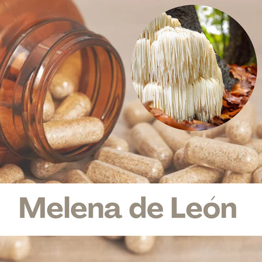 Melena de León, siente la Energía y Vitalidad (60 cápsulas)