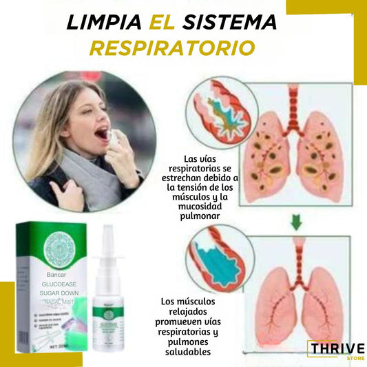 GlucoEase™ - ¡OFERTA ESPECIAL 3X1 SOLO POR ESTA SEMANA!